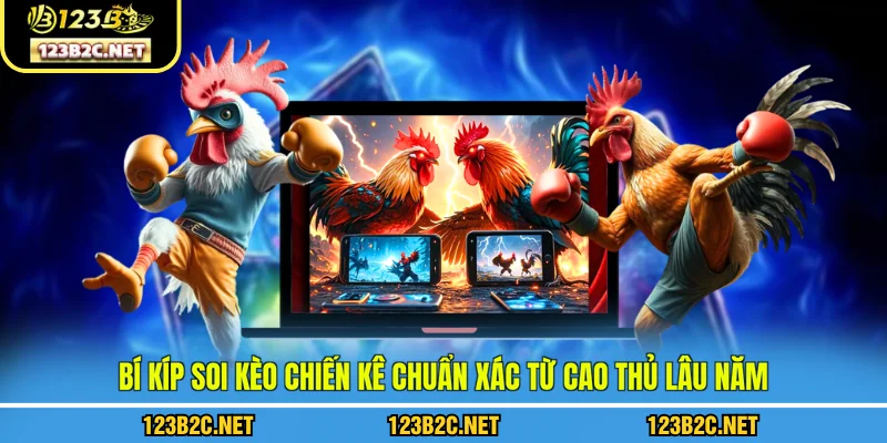 Bí kíp soi kèo chiến kê chuẩn xác từ cao thủ lâu năm