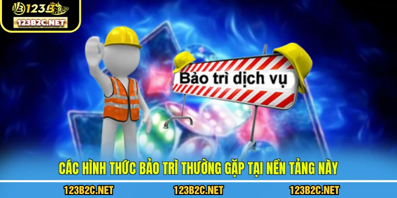 Các hình thức bảo trì thường gặp tại nền tảng này