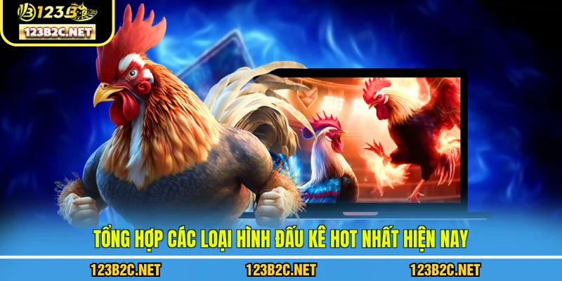 Tổng hợp các loại hình đấu kê hot nhất hiện nay